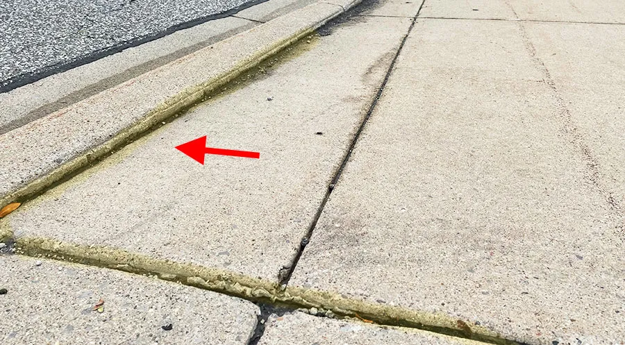 Trip Hazard Sidewalk Repair Service Near Me