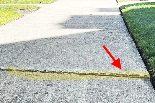 Trip Hazards Sidewalk Issue